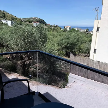 Palms 3*