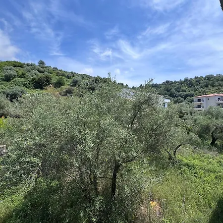 Palms Himara